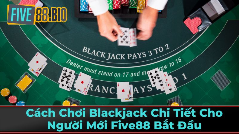 Các Lựa Chọn Blackjack Của Người Chơi