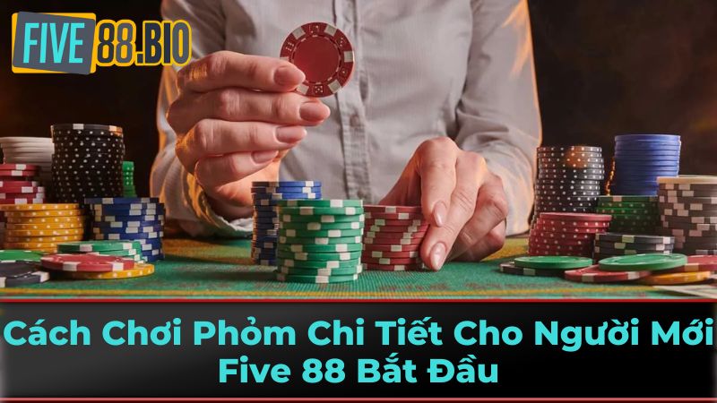 Các Thuật Ngữ Phỏm Chuyên Môn