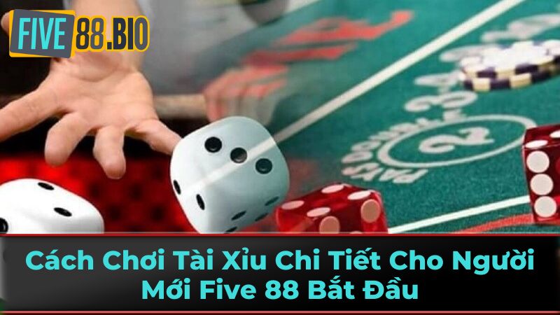 Five88 Tiết Lộ Bí Kíp Chơi Tài Xỉu 2 Luật Chơi Tài Xỉu Cơ Bản