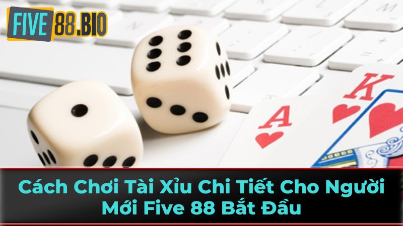 Five88 Tiết Lộ Bí Kíp Chơi Tài Xỉu 3 Chiến Thuật Tài Xỉu Và Lưu Ý Quan Trọng