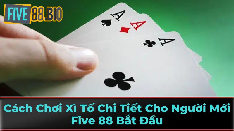 Hệ Thống Các Bộ Bài Xì Tố