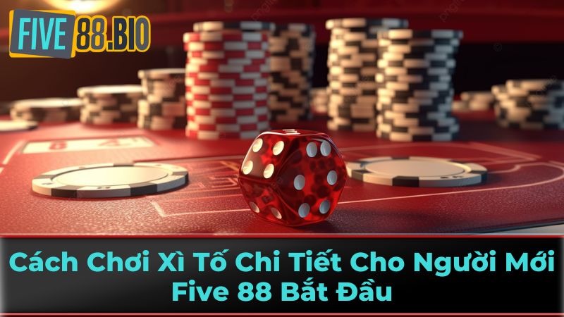 Chiến Thuật Đặt Cược Xì Tố