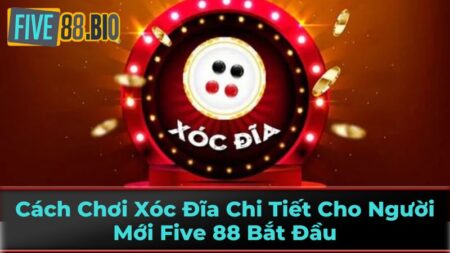 Lưu Ý Và Mẹo Chơi Xóc Đĩa