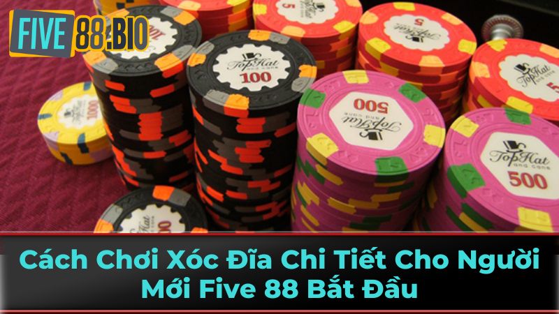 Hướng Dẫn Chi Tiết Cách Chơi Xóc Đĩa Tại Five88 1 Chuẩn Bị Tham Gia Xóc Đĩa
