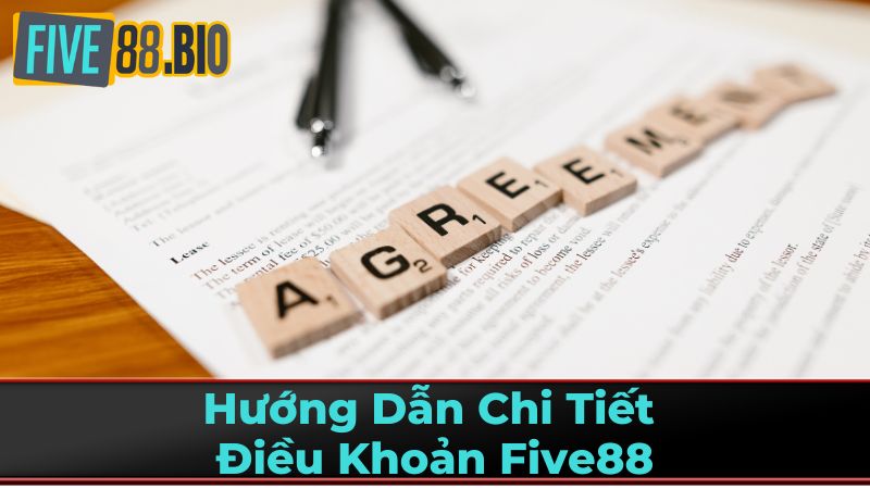 Quyền và Nghĩa Vụ Người Chơi Five88